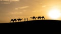 Silhouette of two Berber men leading camel caravans