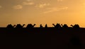 Silhouette of two Berber men sitting with camel caravans