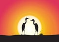 Silhouette of two birds great egret standing on golden sunrise background Royalty Free Stock Photo