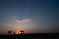 Silhouette of two cameleers and their camels at sand dunes of Thar desert, Rajasthan, India. Cloud with setting sun, sky in the Royalty Free Stock Photo