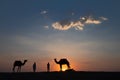 Silhouette of two cameleers and their camels at sand dunes of Thar desert Royalty Free Stock Photo