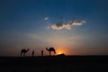 Silhouette of two cameleers and their camels at sand dunes of Thar desert Royalty Free Stock Photo