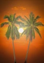 Silhouette two coconut palm trees on beach Royalty Free Stock Photo