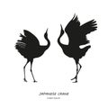 Silhouette of the two dancing Japanese crane on a white background