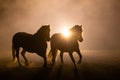 Two horses in smokey setting