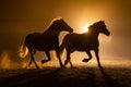 Two horses in smokey setting