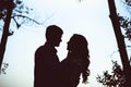 Silhouette of two lovers embracing in the forest. Royalty Free Stock Photo