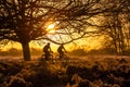 Silhouette of two men riding bicycles. Royalty Free Stock Photo
