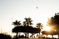 Silhouette of two paragliders in the evening sky with the setting sun.