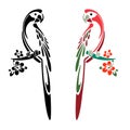 Silhouette of two parrots color and black, cartoon on white