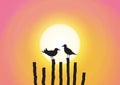 Silhouette of two seagull sitting on timber on sweet sunset background Royalty Free Stock Photo