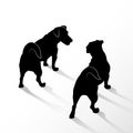 Silhouette of two small standing dogs Jack Russell Terrier. Rear and top view of the pets isolated on white background