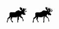 Silhouette of two walking moose with large antlers displayed in profile side by side Royalty Free Stock Photo