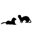 Silhouette of two Weasels and a ferret. An animal of the marten family