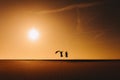 Silhouette of two women friends jumping at the beach at sunset during golden hour. Fun and friendship outdoors Royalty Free Stock Photo