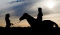 Silhouette of two young girls with a hat and a horse on the background of the sunset sky Royalty Free Stock Photo