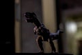 Silhouette of the Tyrannosaurus in the Shadow