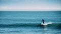 Silhouette of unidentifiable man castching a wave while on a stand up paddle board Royalty Free Stock Photo