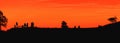 Silhouette of unrecognizable group of people enjoying view and summer sunset on a hill with orange sky Royalty Free Stock Photo