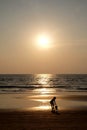 Silhouette of an unrecognizable small child picking up a footaball on a golden sandy beach at sunset Royalty Free Stock Photo