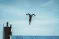 Silhouette of a unrecognizable young bike rider performing aerial BMX trick against blue sky. Extreme sport, youth