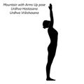 Silhouette of Urdhva Hastasana. Urdhva Vrikshasana