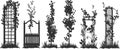 Silhouette of various garden trellises with climbing vines and plants. Royalty Free Stock Photo