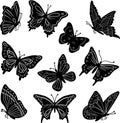 Silhouette of vector black butterflies on a white background. Butterflies icon Royalty Free Stock Photo