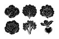 Silhouette Vector Bundle of Brussels Sprouts, Cabbage, Kale, Lettuce, Radish, and Celery Royalty Free Stock Photo