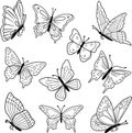 Silhouette of vector flying butterflies isolated on white background. Illustration of butterflies for coloring book Royalty Free Stock Photo