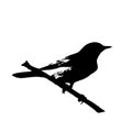 The silhouette vector illustration of The desert wheatear sitting on stick in white background