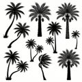 Palm trees silhouette vector illustration, featuring coconut and date palms, tropical set isolated on white backgroun Royalty Free Stock Photo