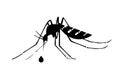 silhouette vector image image mosquito Aedes aegypti, dengue, chikungunya, zika virus proliferation epidemic health