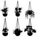 Hanging Plants Silhouette Vector Pack