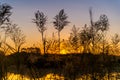 Silhouette view of grass flowers water and mountain Royalty Free Stock Photo