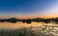 Silhouette view of grass flowers water and mountain Royalty Free Stock Photo