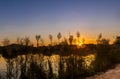 Silhouette view of grass flowers water and mountain Royalty Free Stock Photo