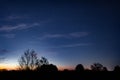 Silhouette view of the leafless trees and bushes with stars in the blue dusk sky at sunset Royalty Free Stock Photo