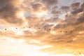 Silhouette view of a line of birds flying high in cloudy dusk sky at sunset