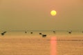 Silhouette view at sunrise time of bamboo cottage at Bang Tabun, Phetchaburi, Thailand Royalty Free Stock Photo