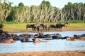 Silhouette view of water Royalty Free Stock Photo