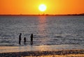 Silhouette of visitors in the shallow water during sunset at Rocky Point Beach, Tampa, Florida, U.S.A Royalty Free Stock Photo