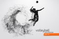 Silhouette of volleyball player. Royalty Free Stock Photo