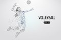 Silhouette of volleyball player. Vector illustration.