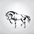 Silhouette of a walking horse. vector illustration Royalty Free Stock Photo