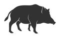 Silhouette of warthog isolated on white background Royalty Free Stock Photo