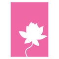 Silhouette of a water lily in a pink rectangle. Vector illustration Royalty Free Stock Photo