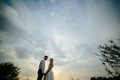 Silhouette of wedding couple in field