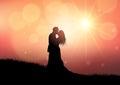 Silhouette of a wedding couple on sunset background Royalty Free Stock Photo