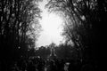 Silhouette of a weekend crowd in the Retiro Park, Madrid Royalty Free Stock Photo